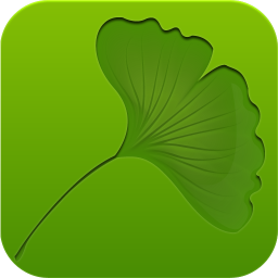 Ginkgo iPhone Style Icon